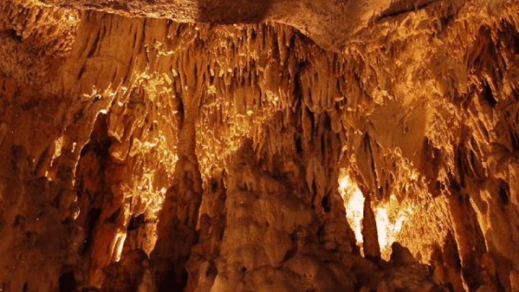 Caves of Santimamiñe - The rural houses of Ea Astei, Urdaibai natural park, Basque Country