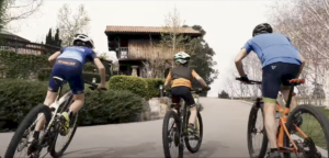 Las Casas de Ea Astei con el ciclismo - Urdaibai Bike Reserve