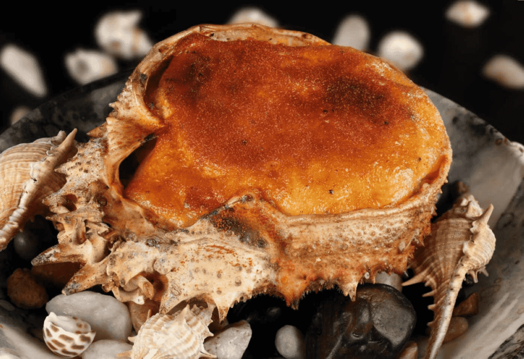 Las Casas de Ea Astei